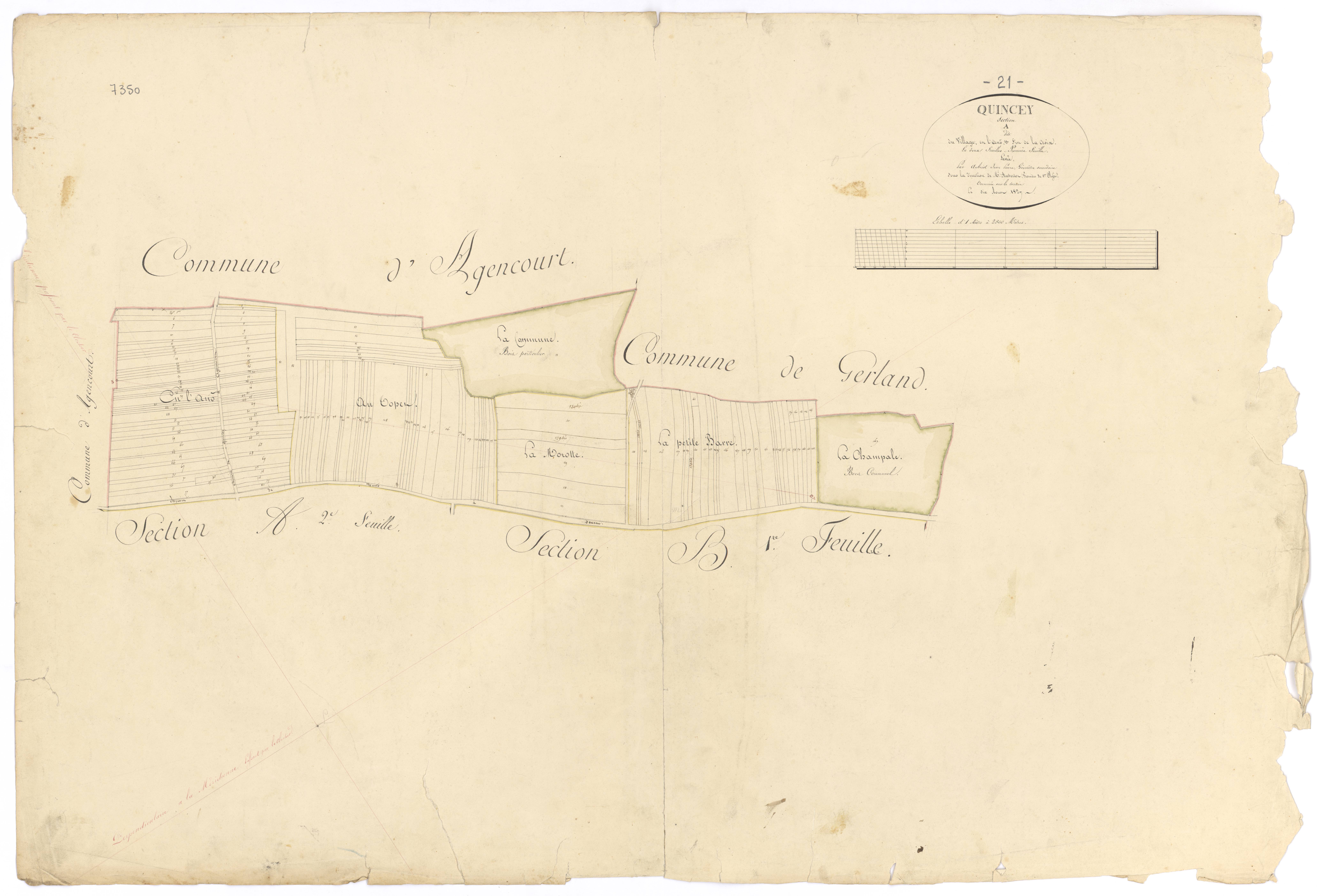 Quincey - Section A1 - 3 P PLAN 517/2