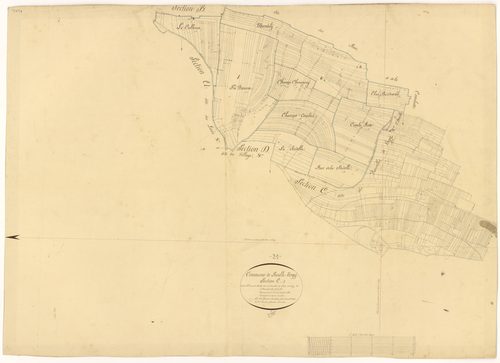 Reulle-Vergy - Section C1 - 3 P PLAN 523/4