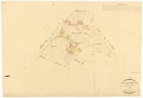 Reulle-Vergy - Section D1 - 3 P PLAN 523/6