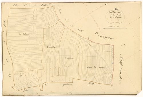 Sacquenay - Section E3 - 3 P PLAN 536/17