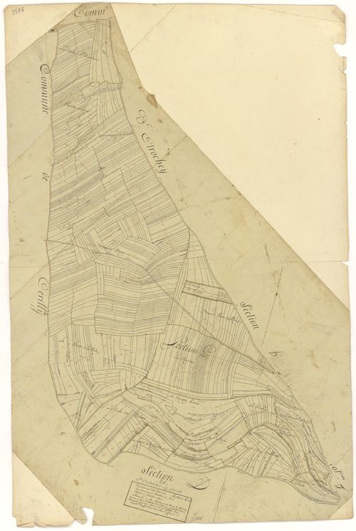 Sainte-Colombe-sur-Seine - Section G - 3 P PLAN 546/11