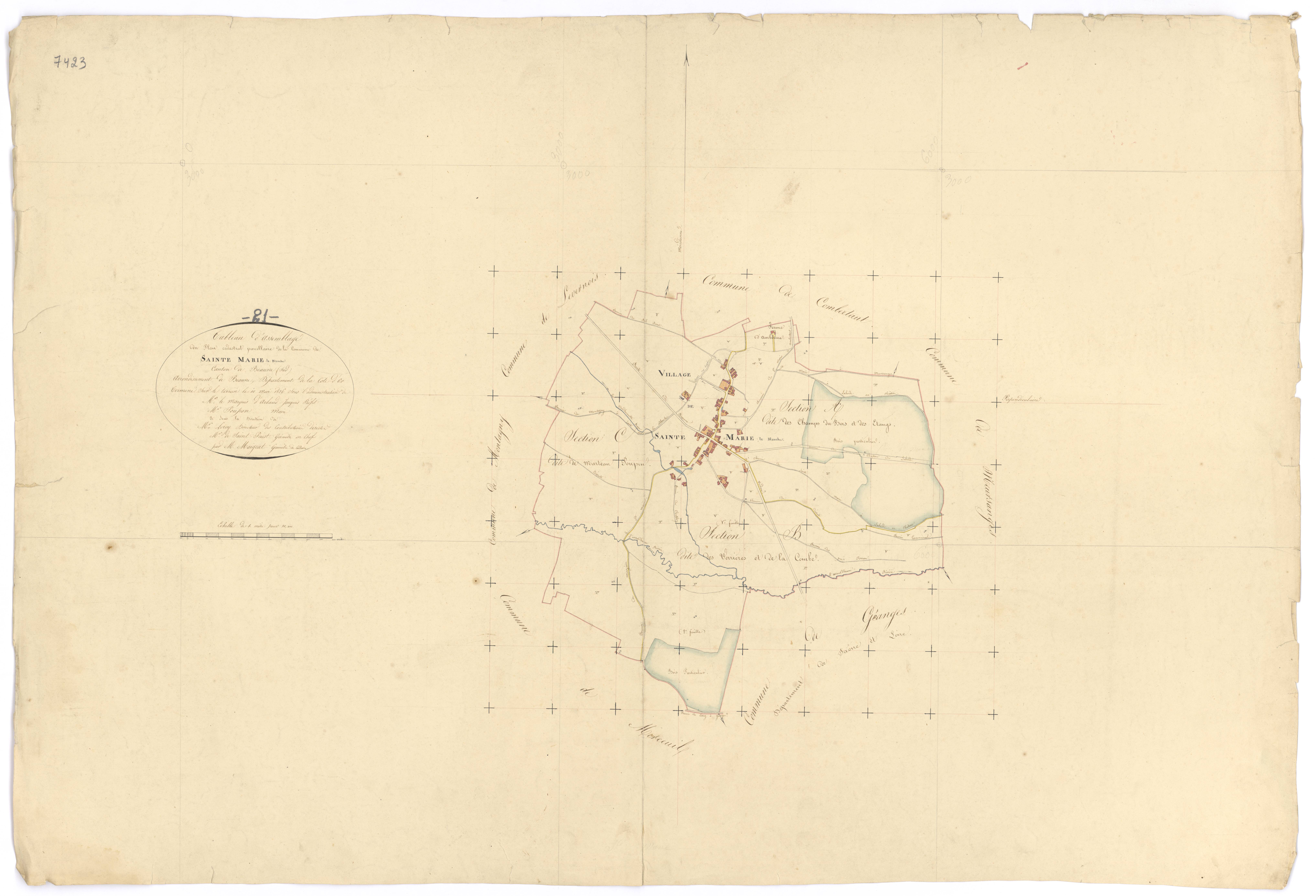 Sainte-Marie-la-Blanche - Tableau d'assemblage - 3 P PLAN 547/1