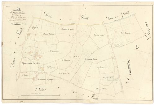 Saint-Martin-de-la-Mer - Section C1 - 3 P PLAN 561/8