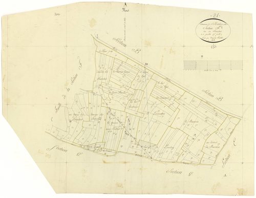 Saint-Martin-du-Mont - Section F2 - 3 P PLAN 562/10