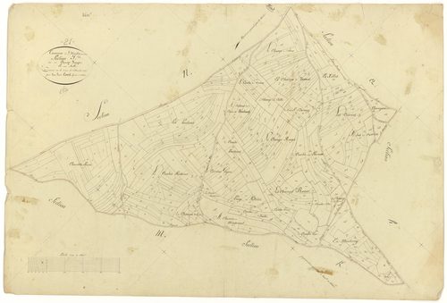Saint-Martin-du-Mont - Section I - 3 P PLAN 562/13