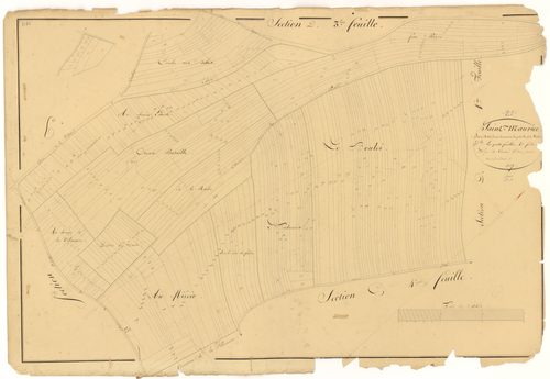 Saint-Maurice-sur-Vingeanne - Section D4 - 3 P PLAN 563/18