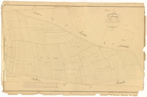 Saint-Maurice-sur-Vingeanne - Section F2 - 3 P PLAN 563/21