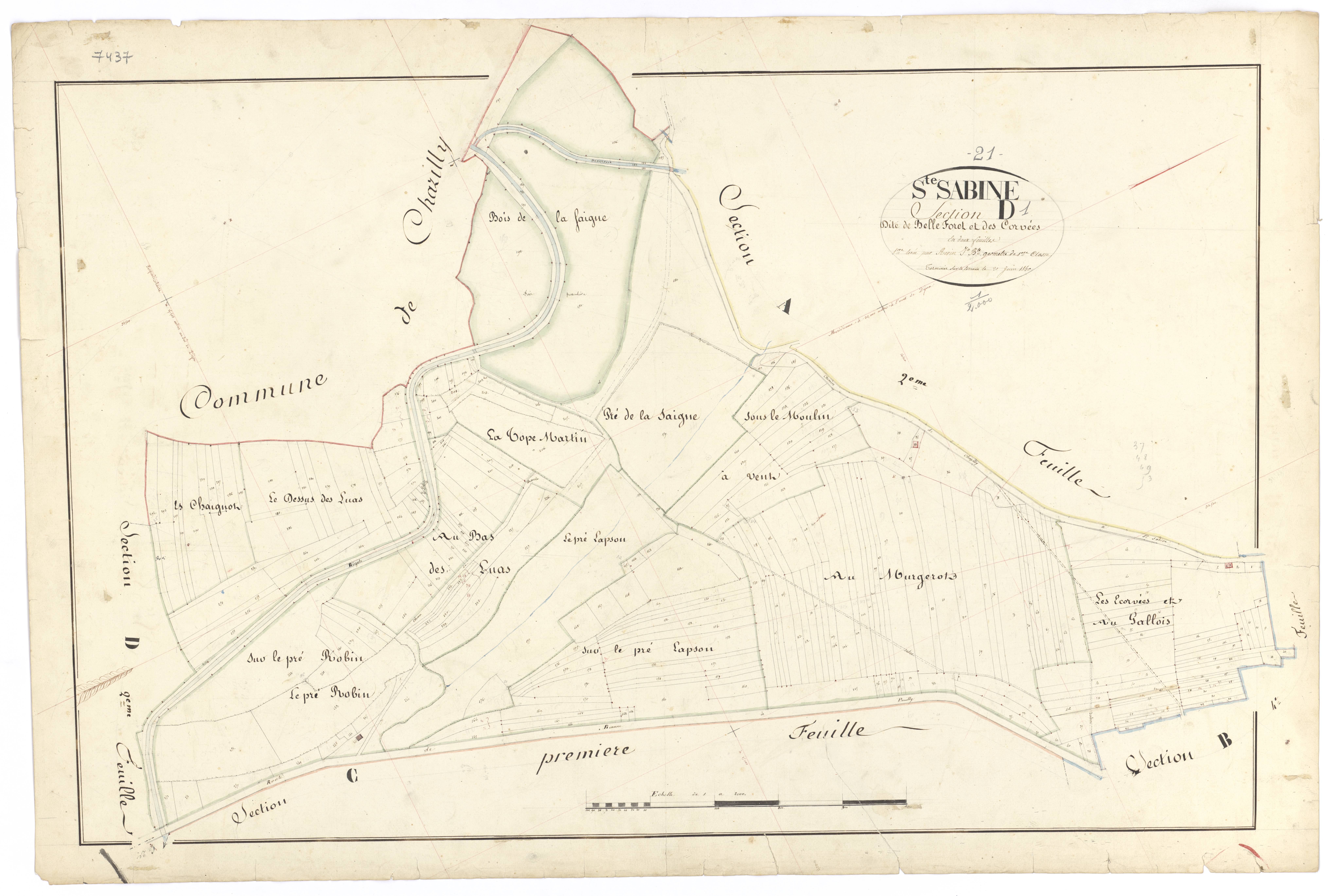 Sainte-Sabine - Section D1 - 3 P PLAN 549/10