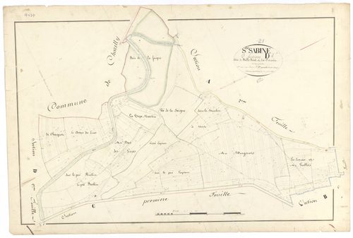 Sainte-Sabine - Section D1 - 3 P PLAN 549/10
