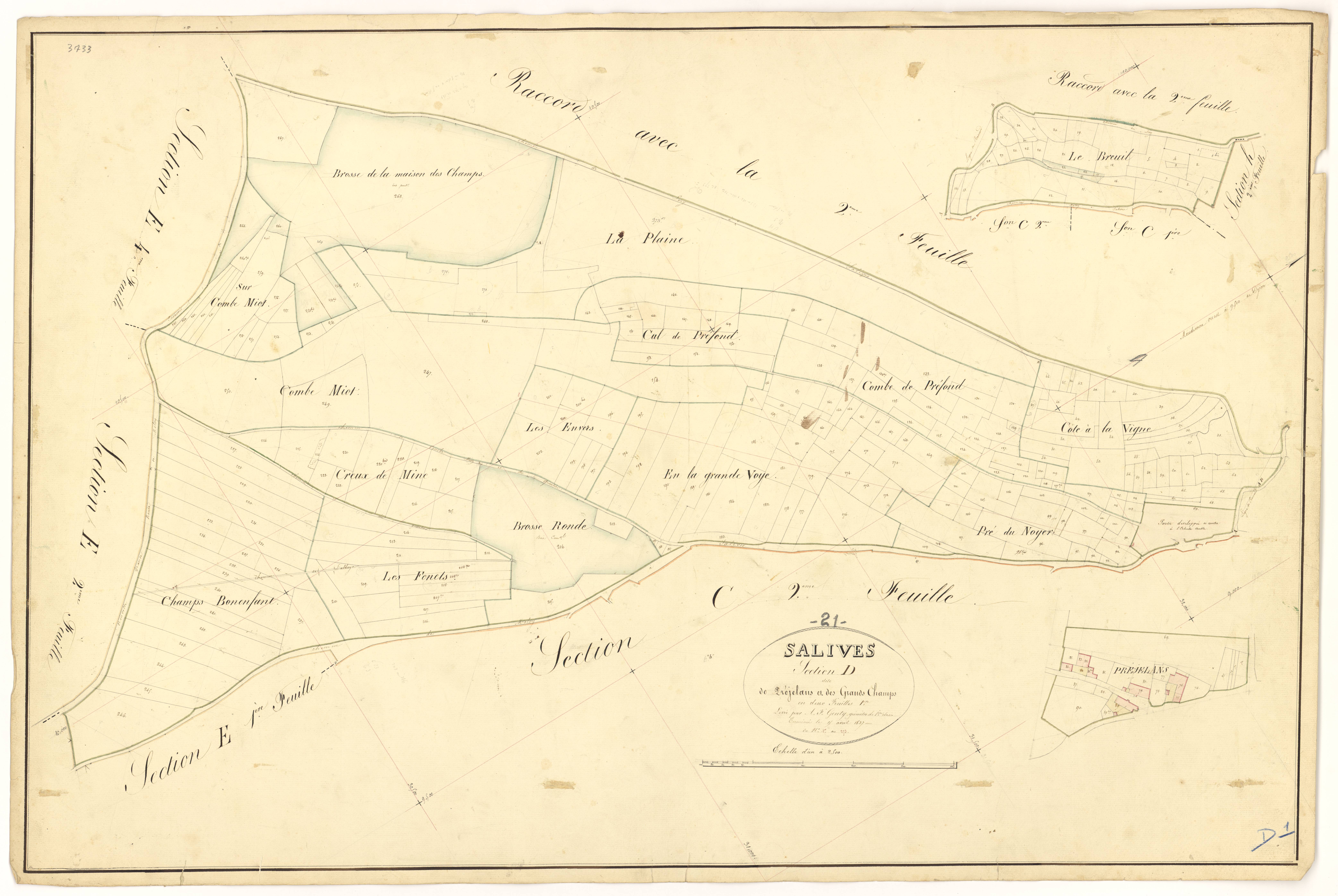 Salives - Section D1 - 3 P PLAN 579/9