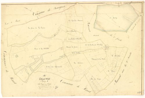 Salives - Section A1 - 3 P PLAN 579/2