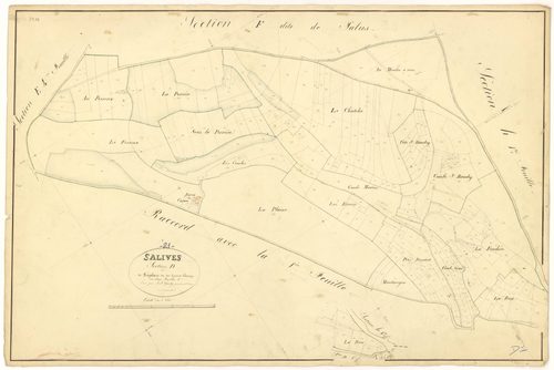 Salives - Section D2 - 3 P PLAN 579/10
