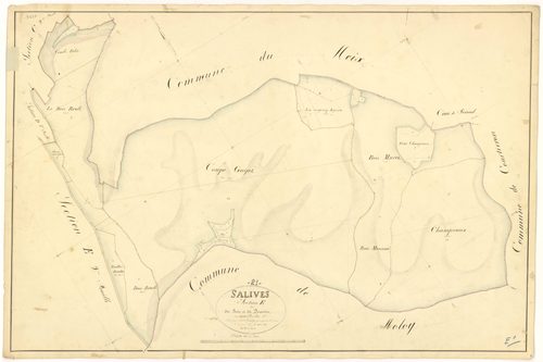 Salives - Section E1 - 3 P PLAN 579/11