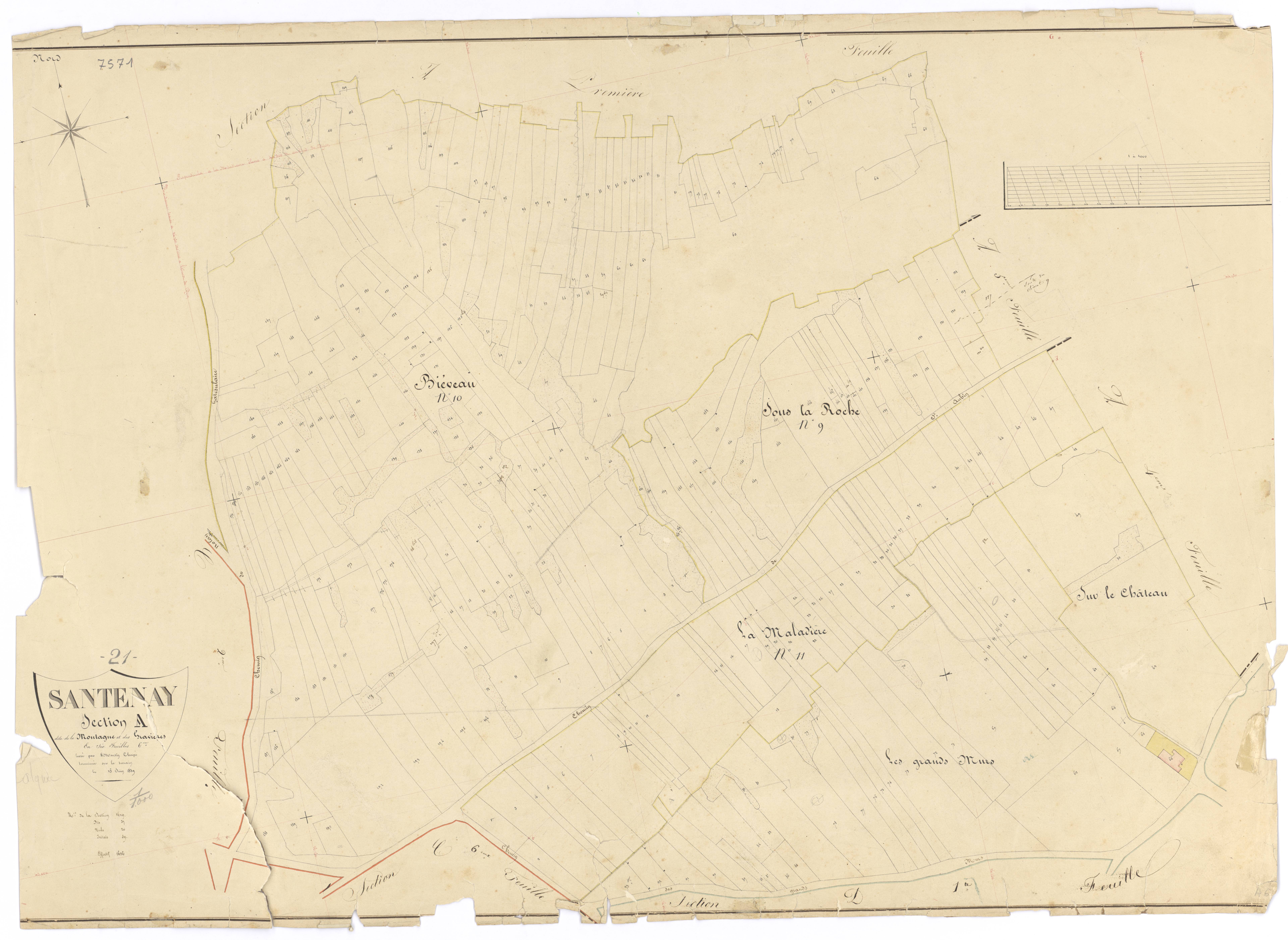 Santenay - Section A6 - 3 P PLAN 582/8