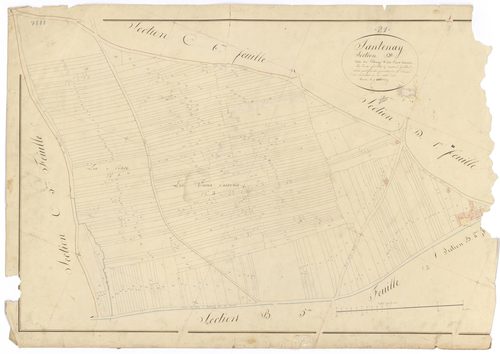 Santenay - Section D2 - 3 P PLAN 582/25