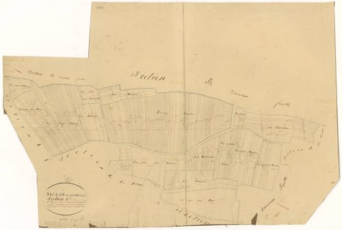 Saulon-la-Chapelle - Section C1 - 3 P PLAN 585/6