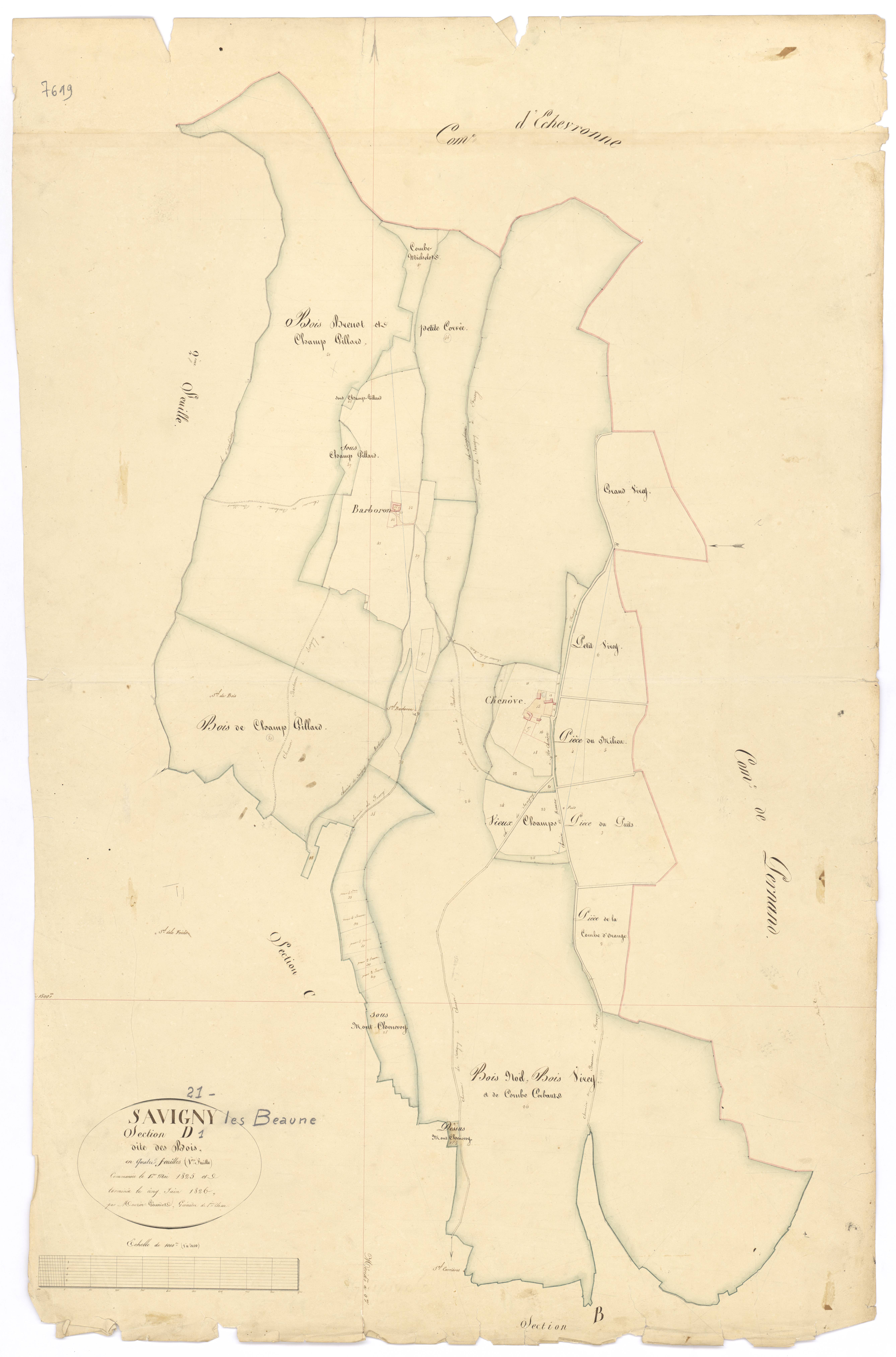 Savigny-lès-Beaune - Section D1 - 3 P PLAN 591/7