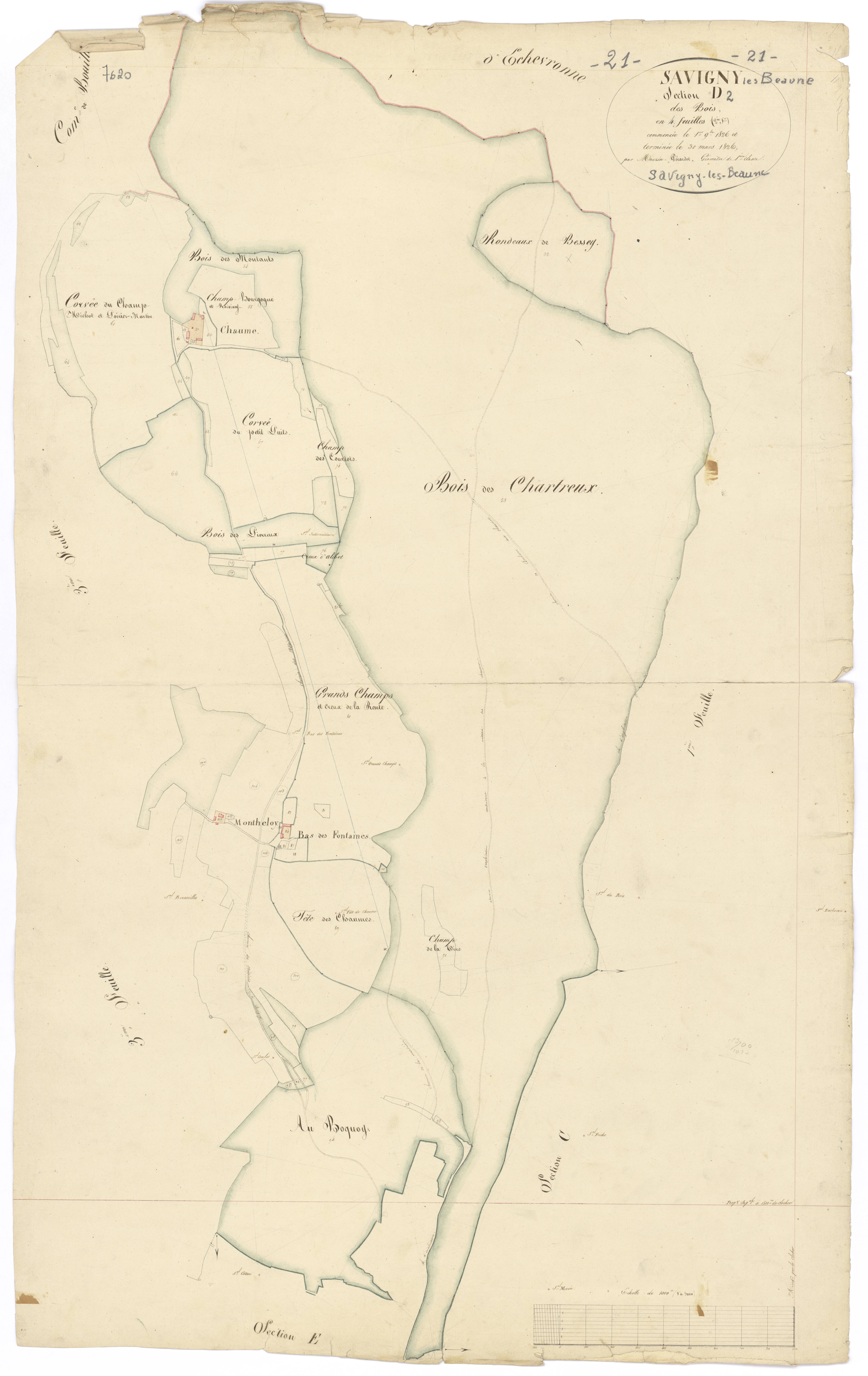 Savigny-lès-Beaune - Section D2 - 3 P PLAN 591/8