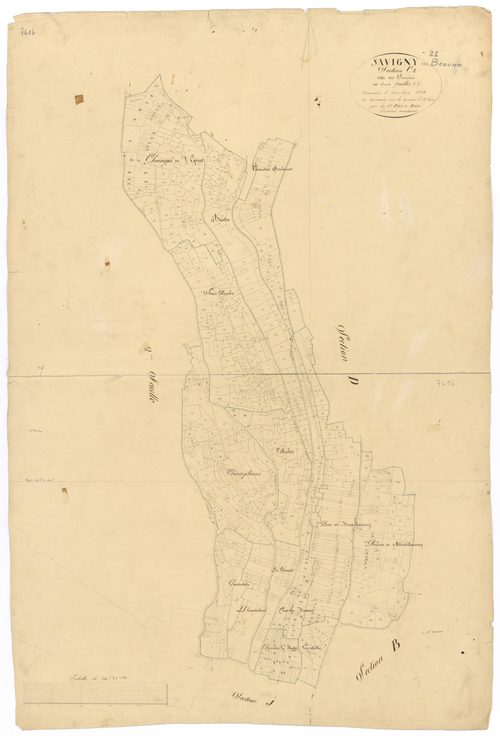 Savigny-lès-Beaune - Section C1 - 3 P PLAN 591/4