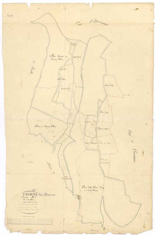 Savigny-lès-Beaune - Section D1 - 3 P PLAN 591/7