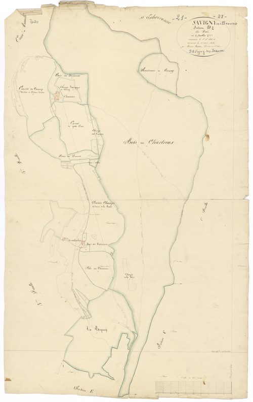 Savigny-lès-Beaune - Section D2 - 3 P PLAN 591/8