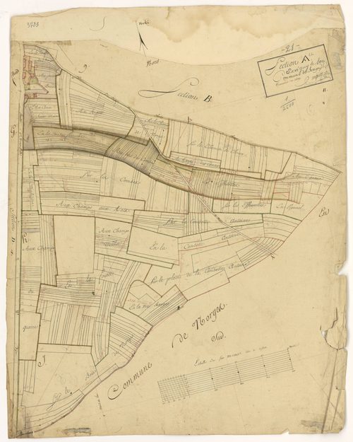 Savigny-le-Sec - Section A - 3 P PLAN 590/3