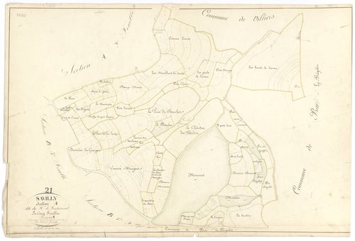 Savilly - Section A1 - 3 P PLAN 593/2