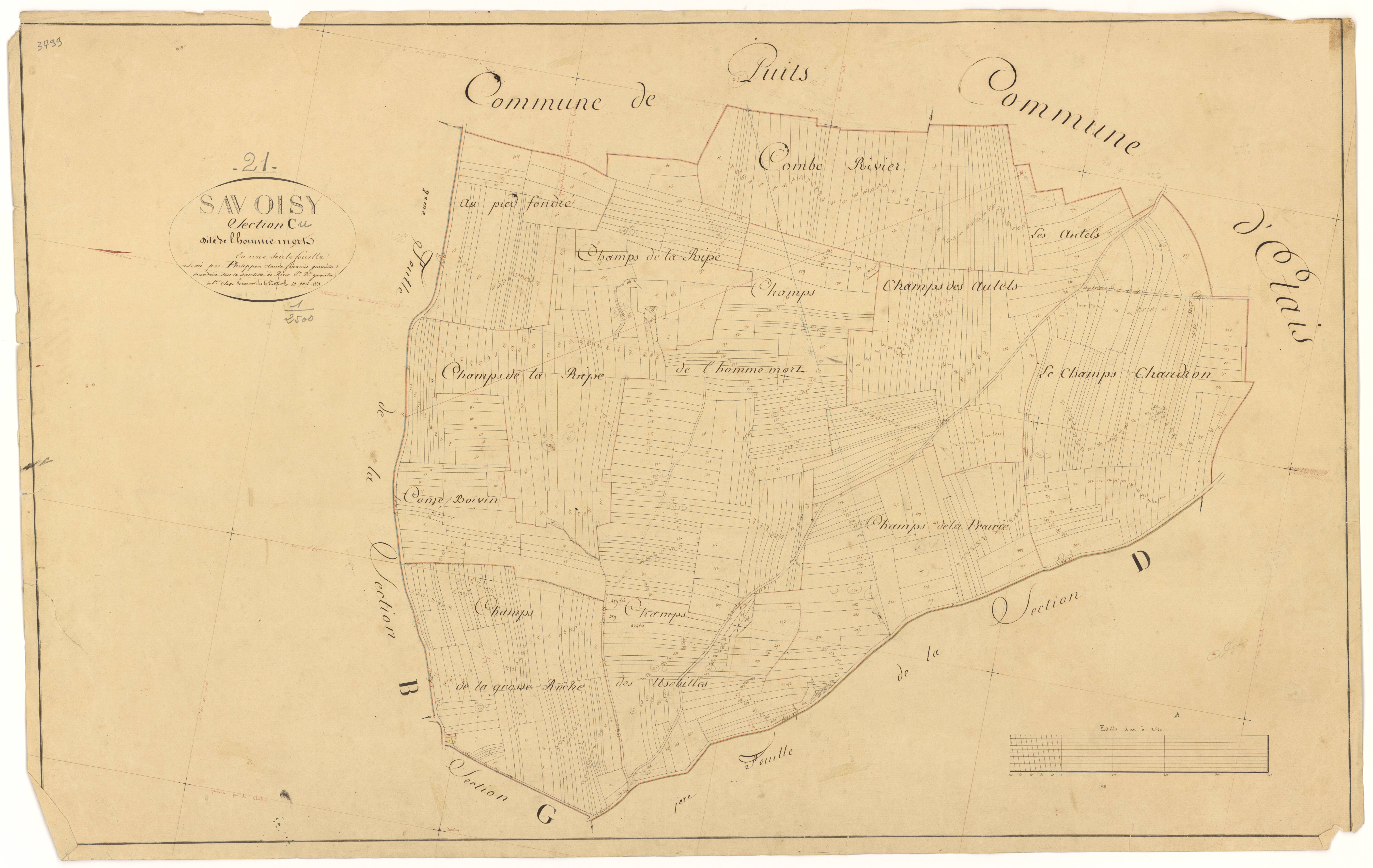 Savoisy - Section C - 3 P PLAN 594/6
