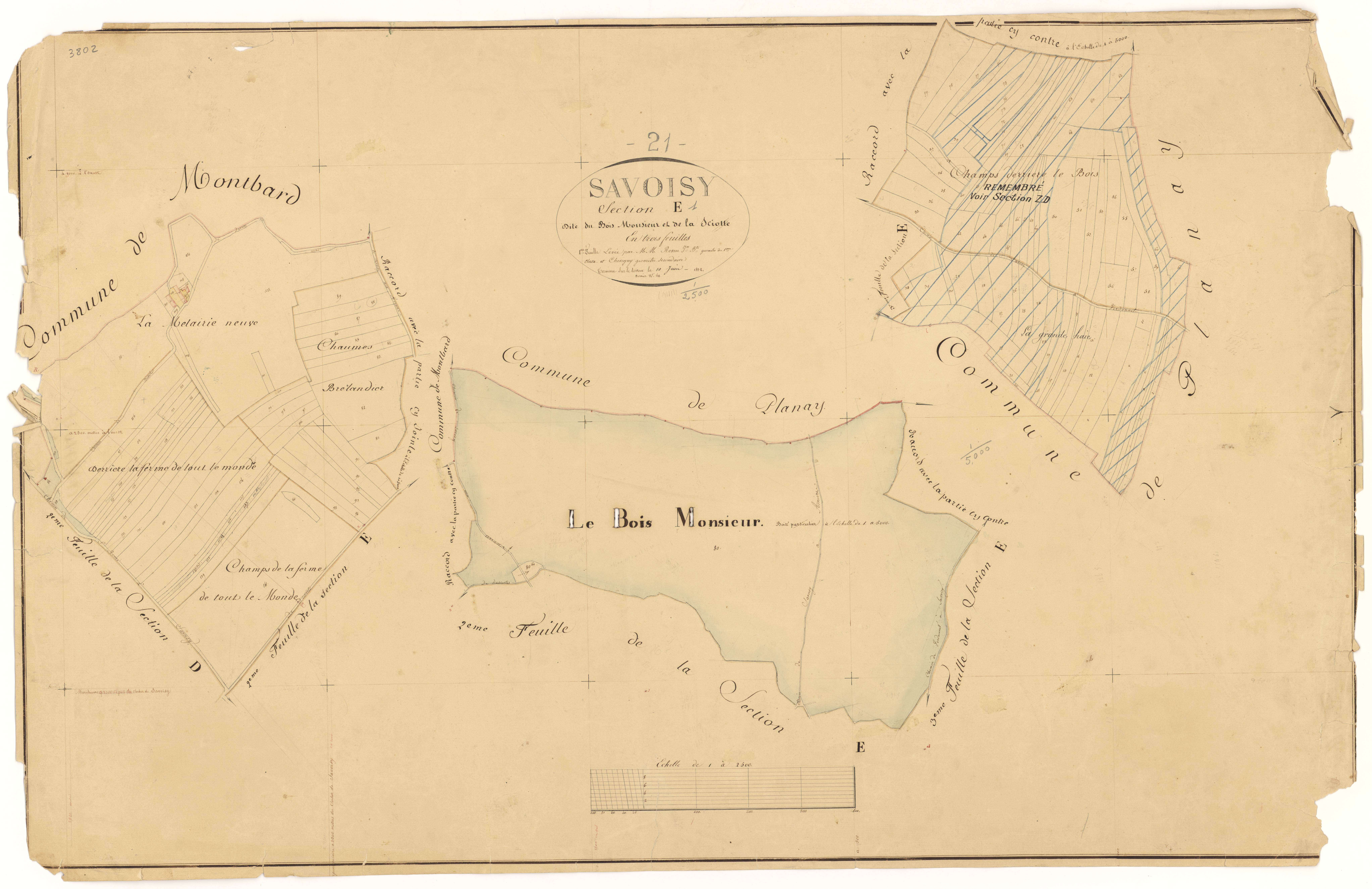 Savoisy - Section E1 - 3 P PLAN 594/9