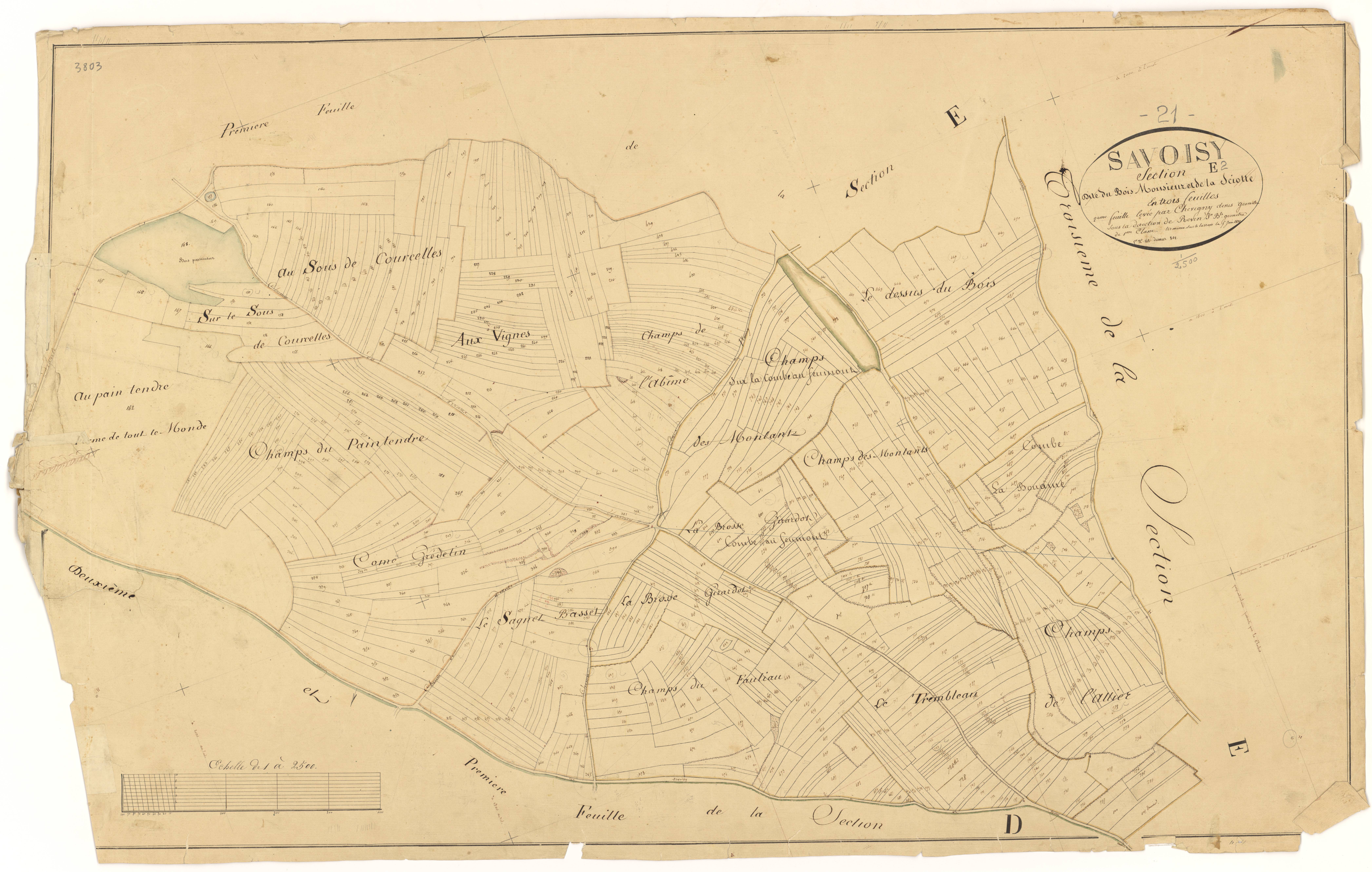 Savoisy - Section E2 - 3 P PLAN 594/10