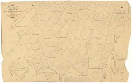 Savoisy - Section D2 - 3 P PLAN 594/8