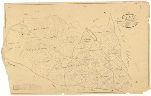 Savoisy - Section E2 - 3 P PLAN 594/10