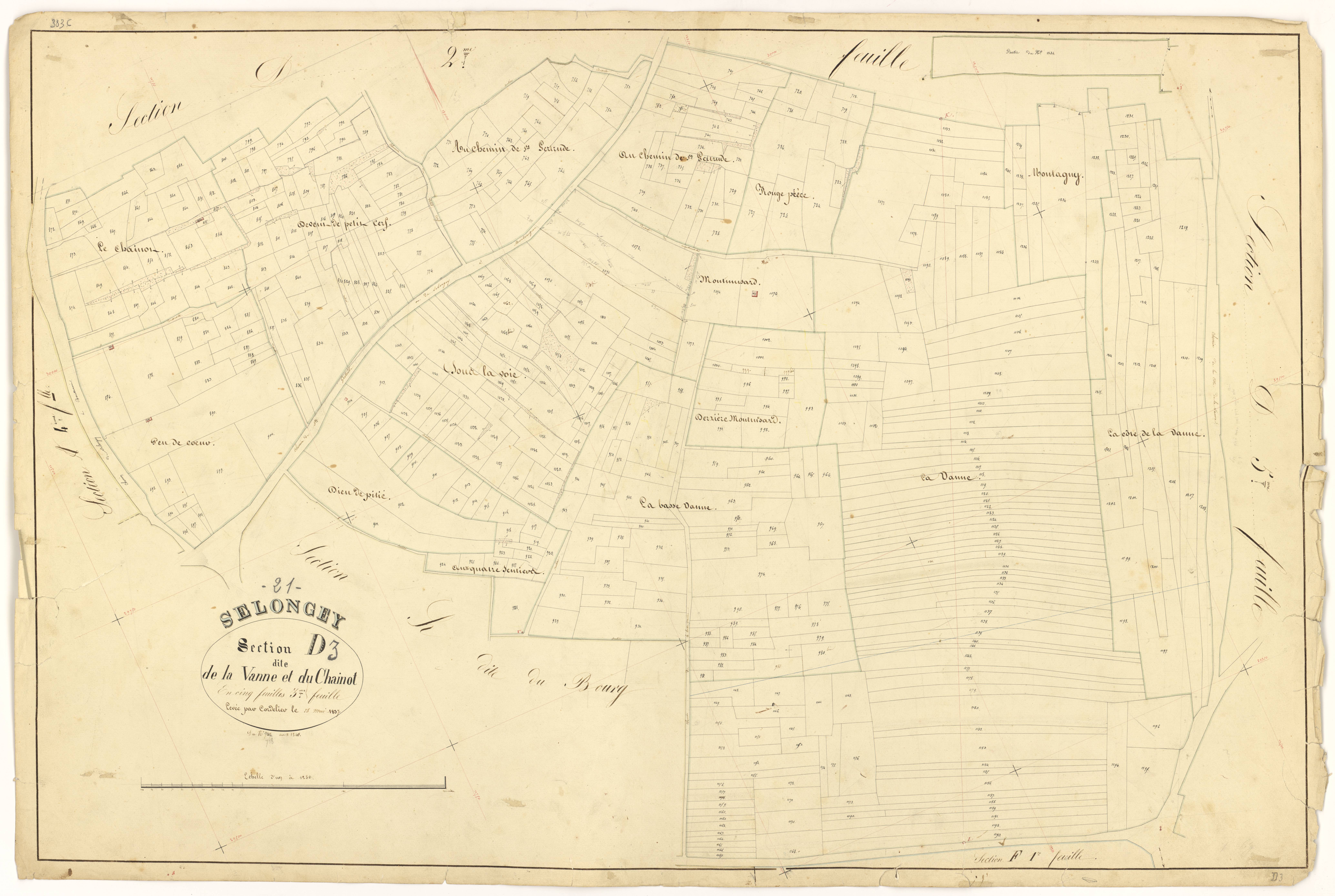 Selongey - Section D3 - 3 P PLAN 599/16