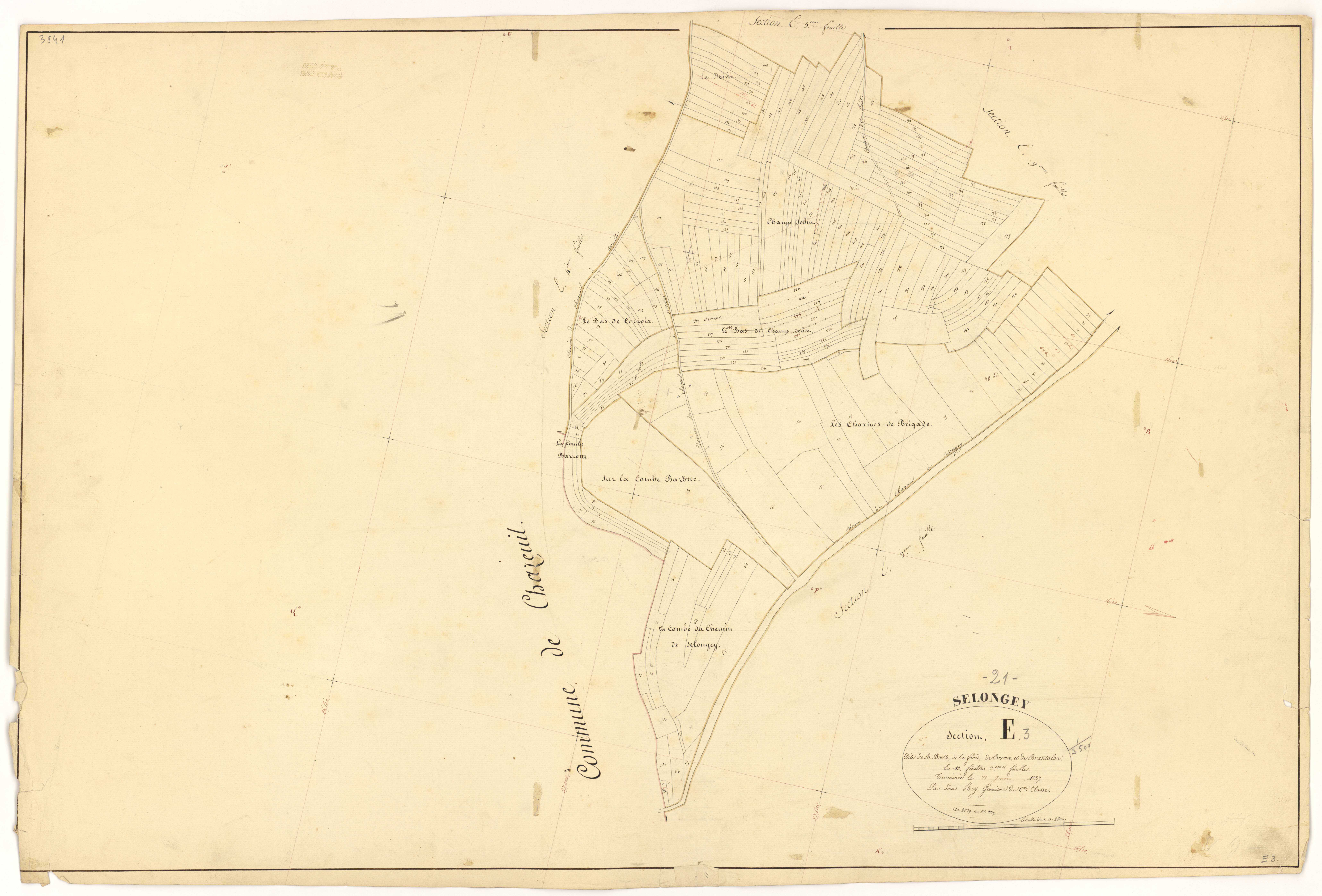 Selongey - Section E3 - 3 P PLAN 599/21