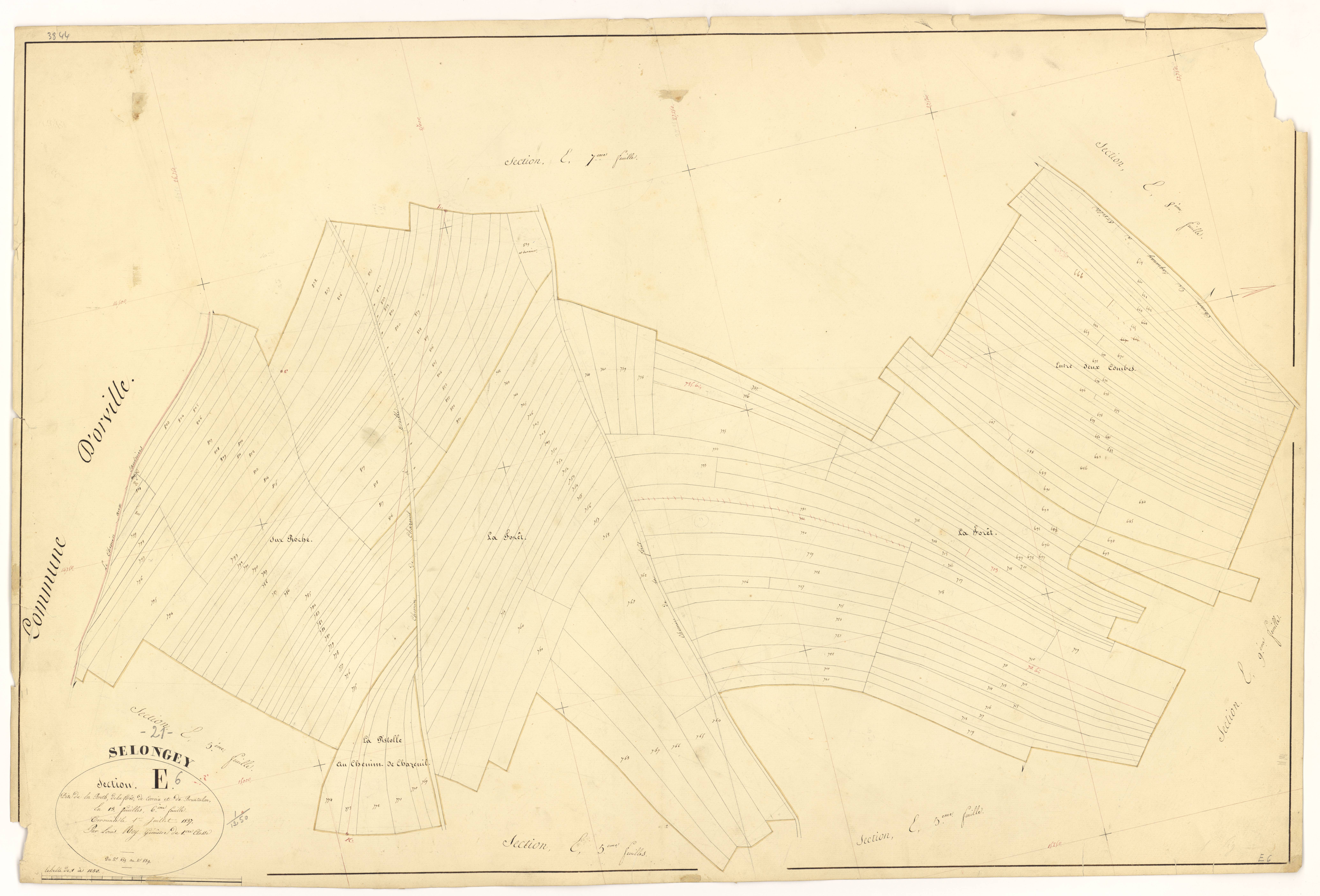 Selongey - Section E6 - 3 P PLAN 599/24