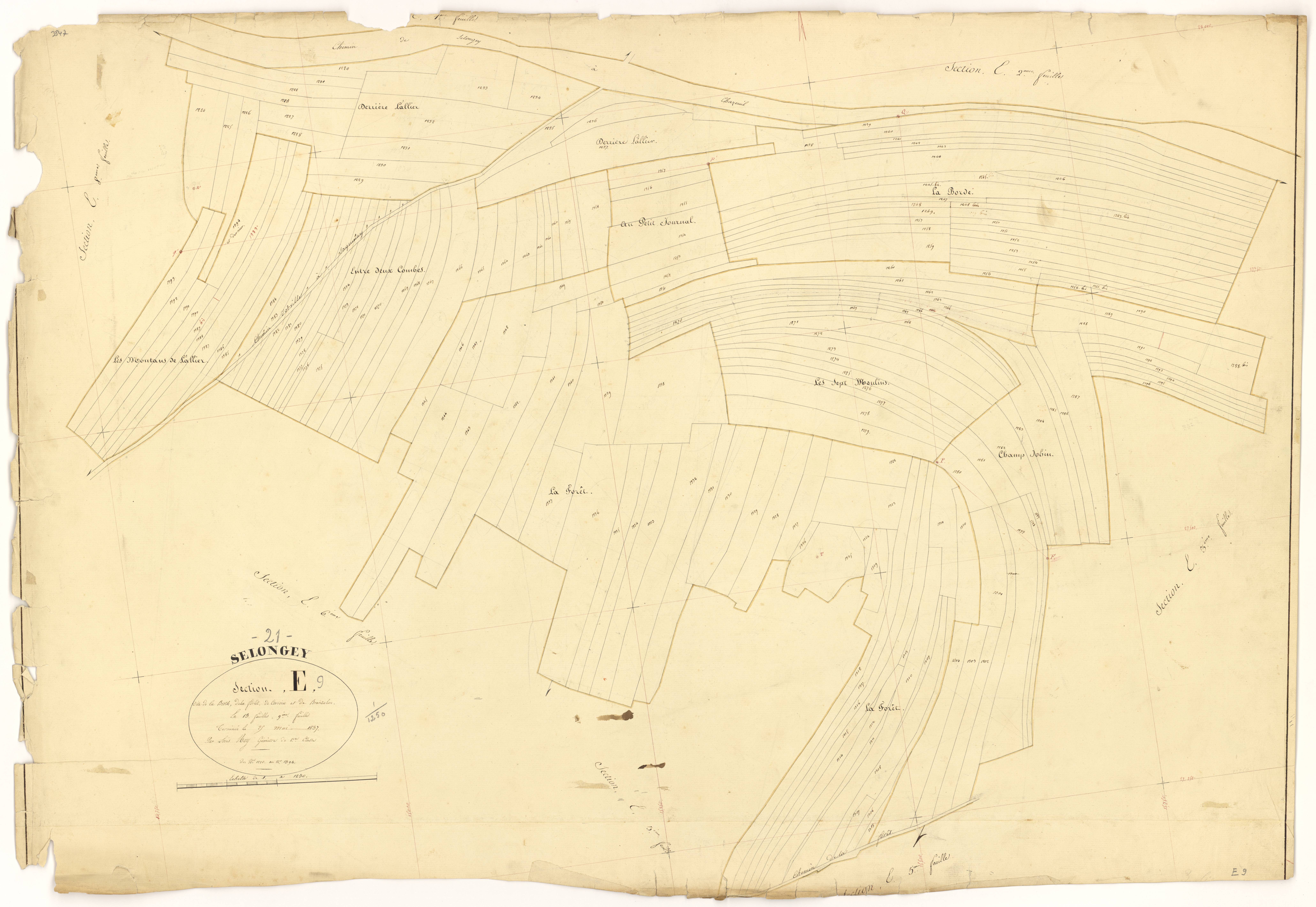 Selongey - Section E9 - 3 P PLAN 599/27
