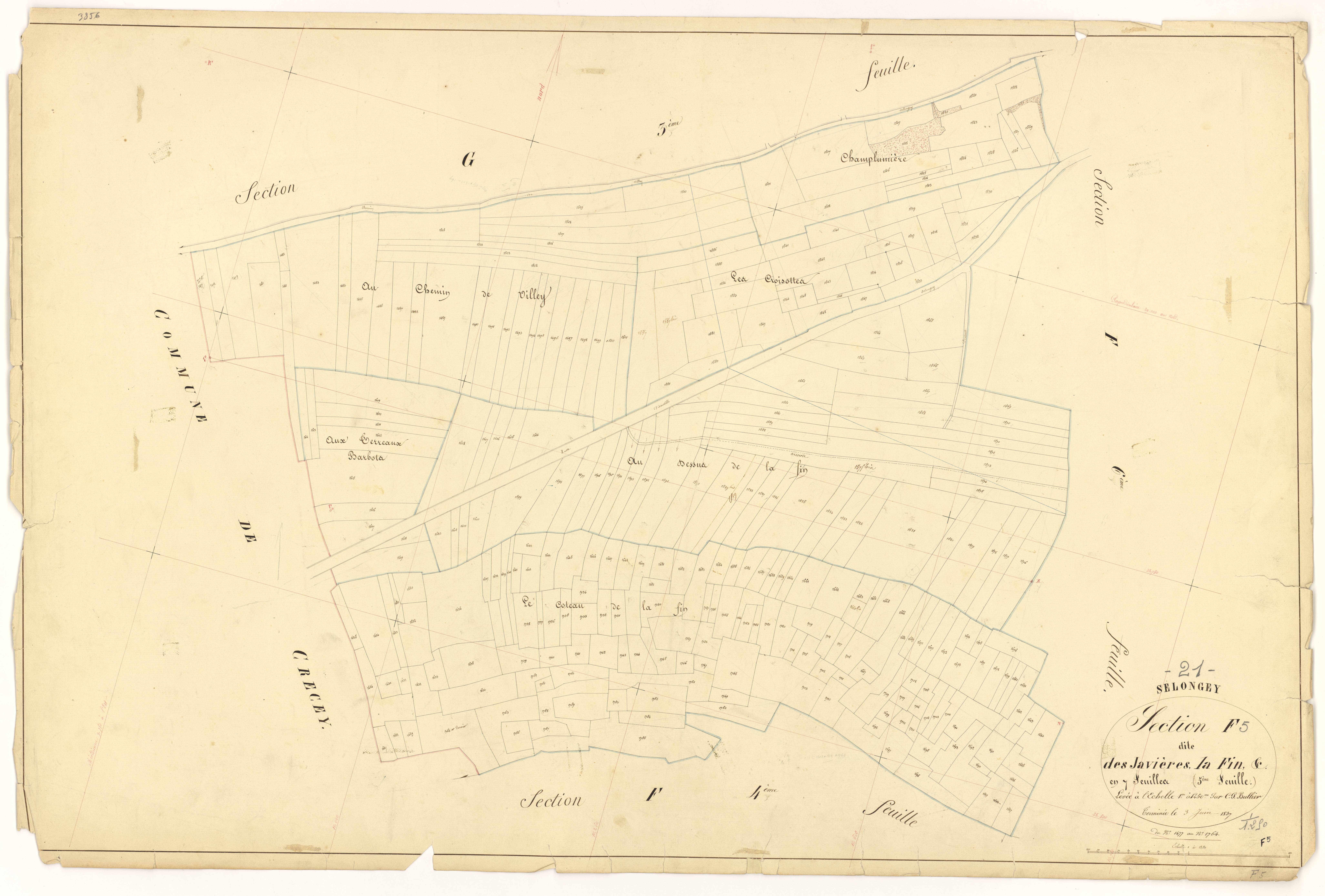 Selongey - Section F5 - 3 P PLAN 599/36