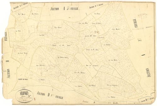 Selongey - Section A4 - 3 P PLAN 599/5