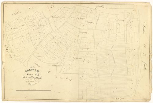 Selongey - Section D3 - 3 P PLAN 599/16