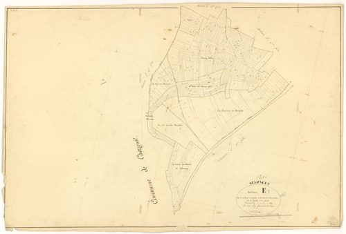 Selongey - Section E3 - 3 P PLAN 599/21