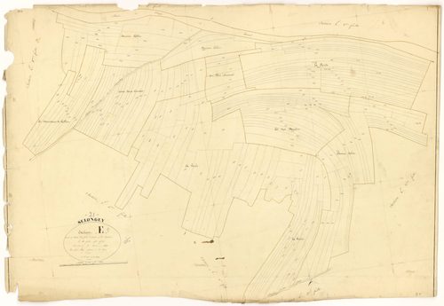 Selongey - Section E9 - 3 P PLAN 599/27