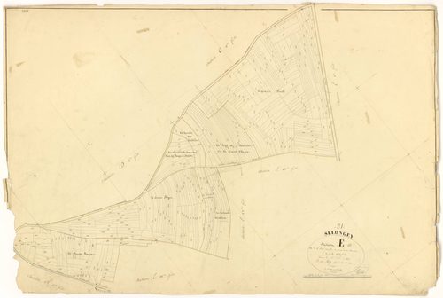 Selongey - Section E10 - 3 P PLAN 599/28