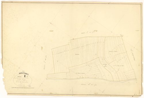 Selongey - Section E11 - 3 P PLAN 599/29
