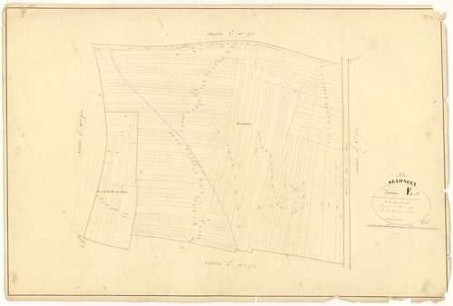 Selongey - Section E13 - 3 P PLAN 599/31