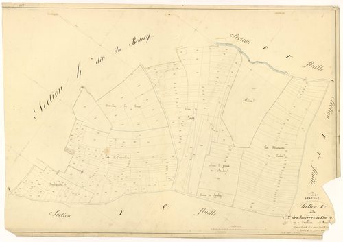 Selongey - Section F7 - 3 P PLAN 599/38