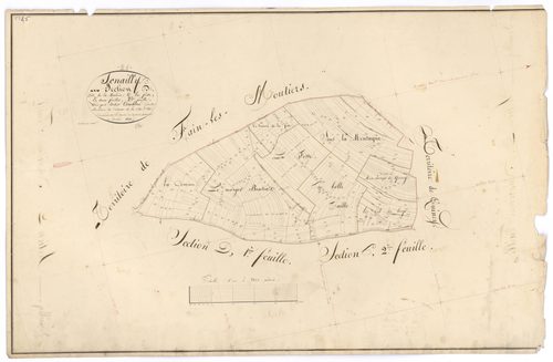 Senailly - Section D2 - 3 P PLAN 604/9