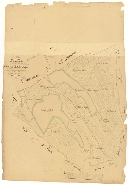 Sombernon - Section D1 - 3 P PLAN 611/11
