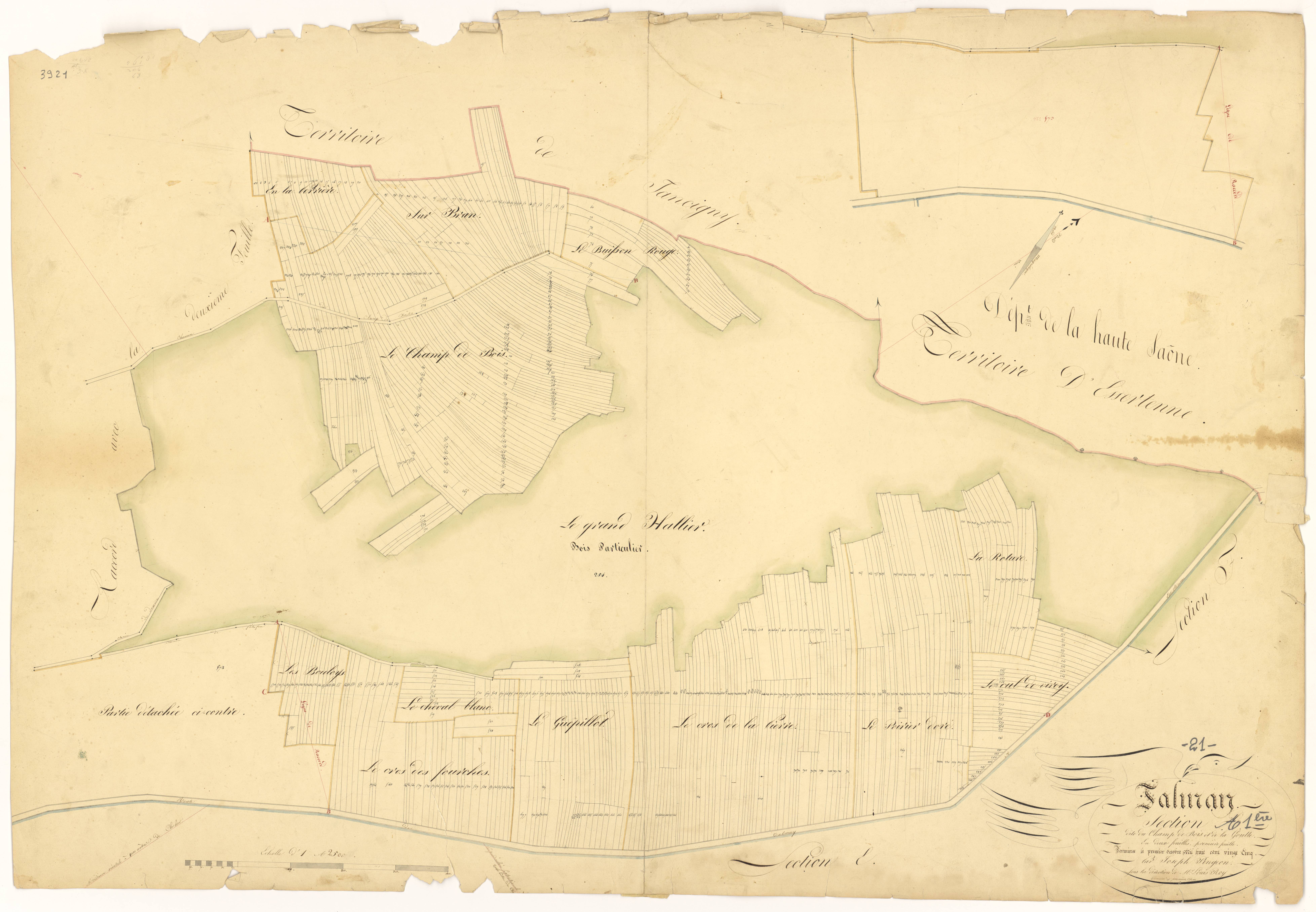 Talmay - Section A1 - 3 P PLAN 618/2