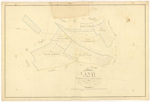 Tanay - Section B3 - 3 P PLAN 619/9
