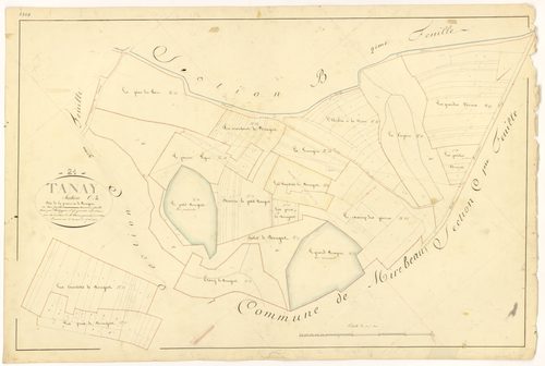 Tanay - Section C2 - 3 P PLAN 619/12